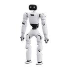 AGIBOT (طراز متوقف عن العمل)