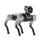Robô quadrúpede MagicDog da MagicLab