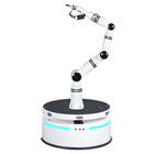 Robot composite Realman Robotics RMC-BA