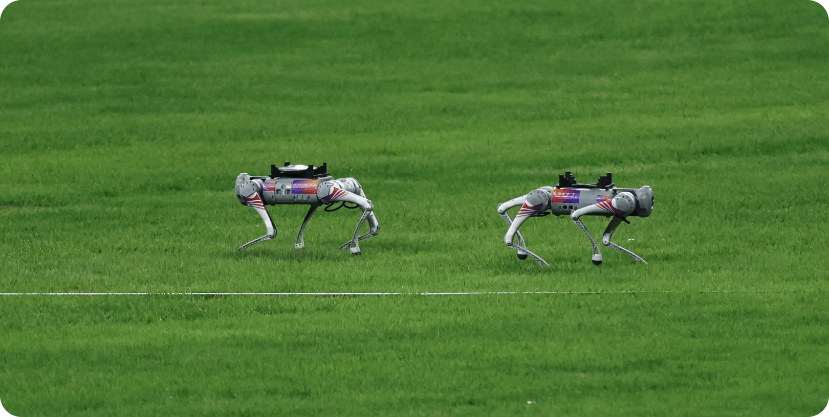 Unitree Robotics Go2 Ent MTptz - Image 1