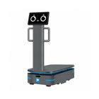 Alpha Panda AMR F300 Industrie-Lieferroboter
