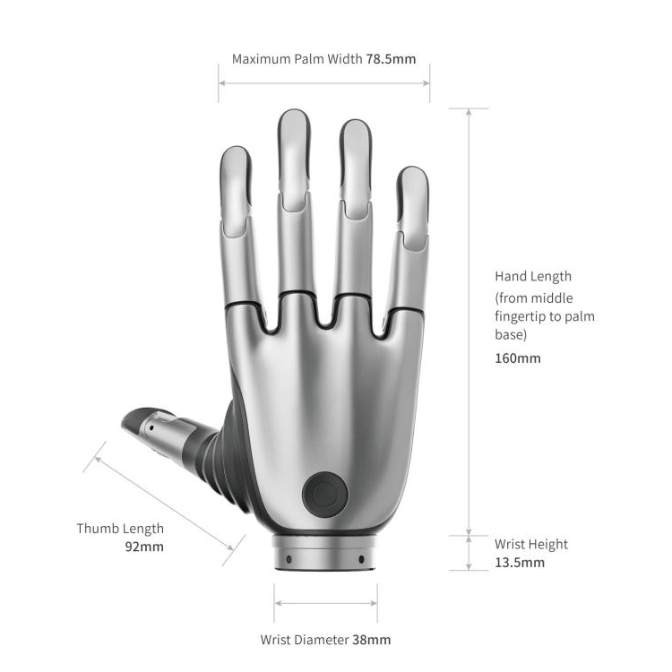 BrainCo Revo 2 Touch Biomimetic Dexterous Right Hand
