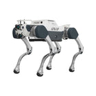 Deep Robotics X30 Pro Industrial Quadruped Robot Dog
