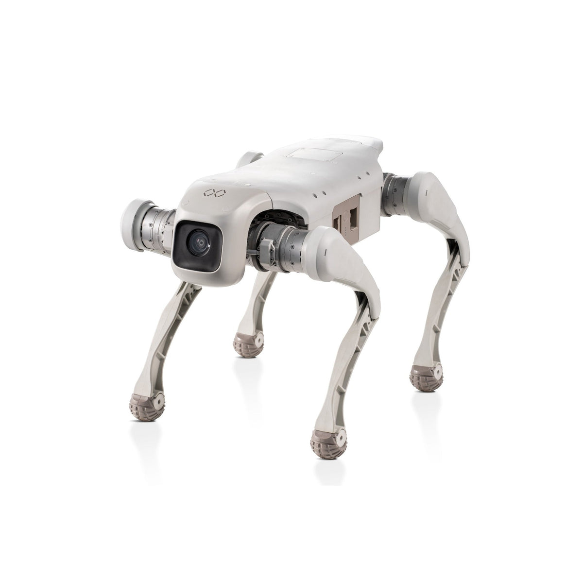 FX Aegis Edu Robot Dog