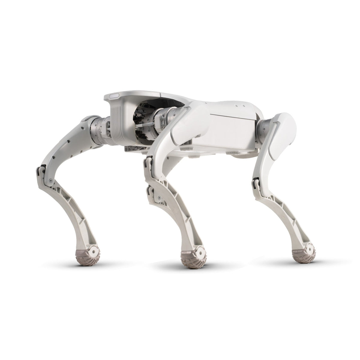 FX Aegis Pro Robot Dog
