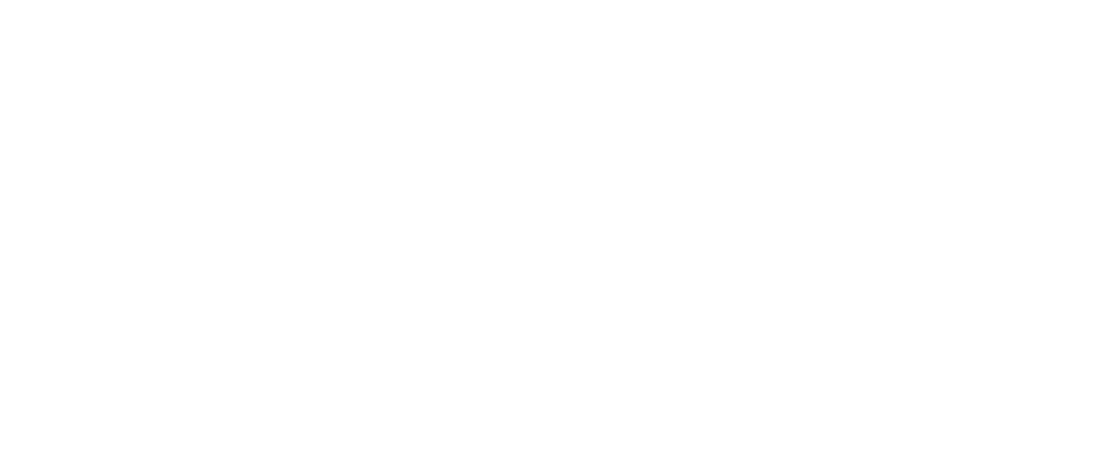 OrionStar Logo