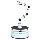 Realman Robotics RMC-BA Bileşik Robot